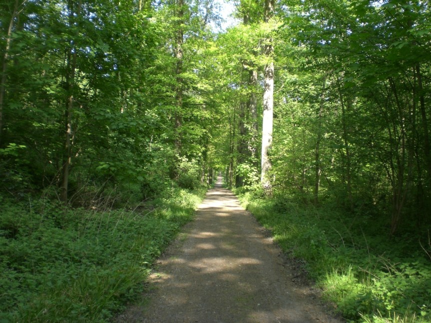 Sentiers-de-la-haute-haine-mariemont