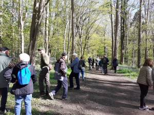 Sentiers-de-la-haute-haine-morlanwelz