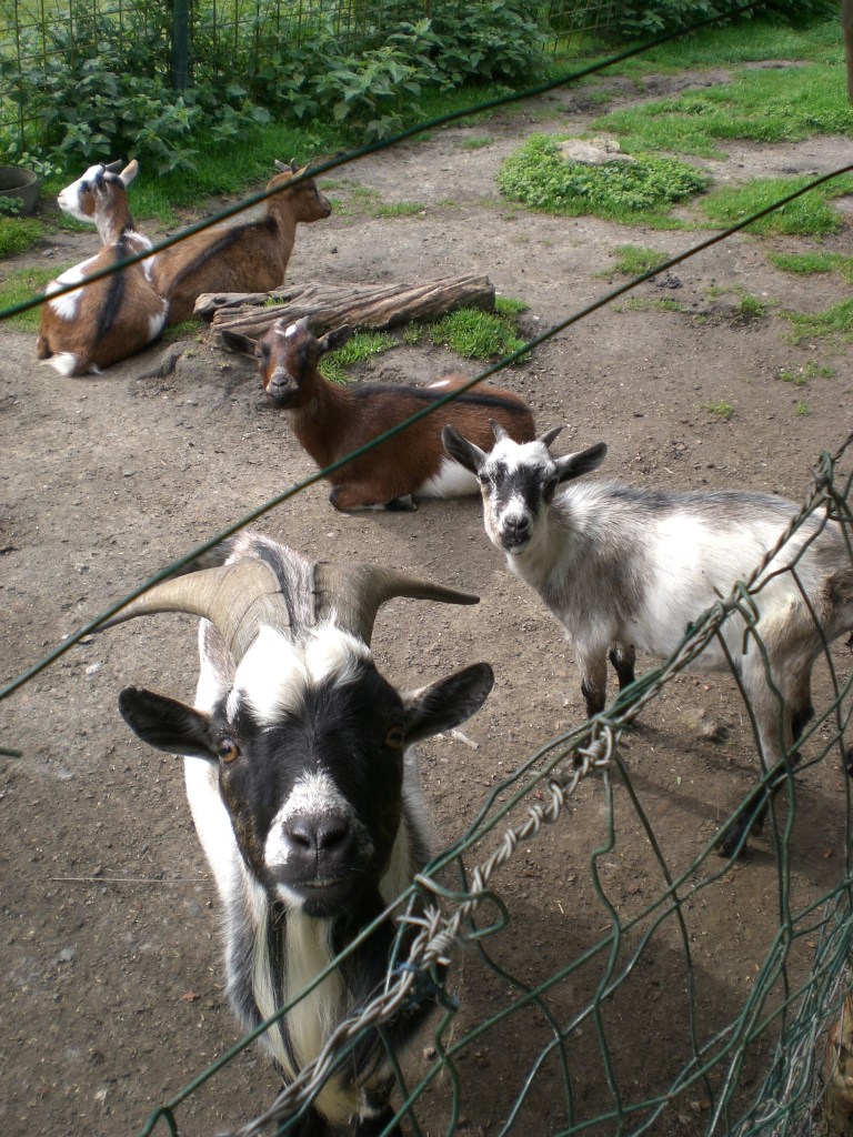 Sentiers de la Haute Haine- photos