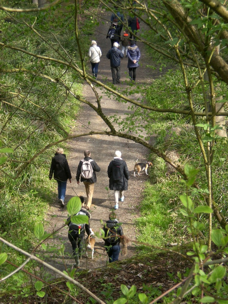 Sentiers-de-la-haute-haine-balade-mariemont