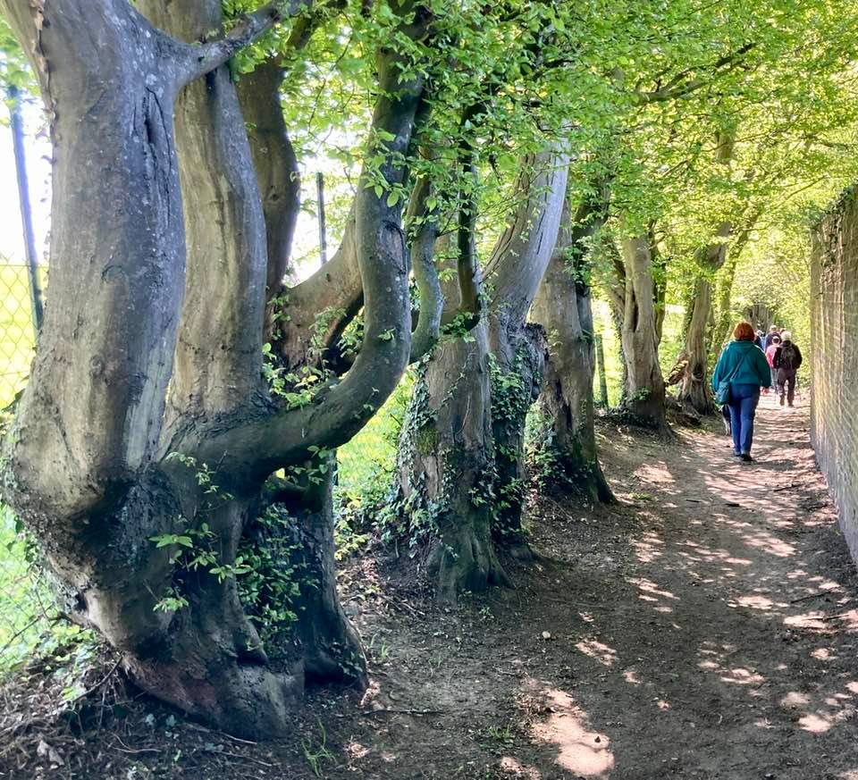 Sentiers-de-la-haute-haine-Photo-Carnières